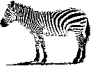 Zebra ARiC